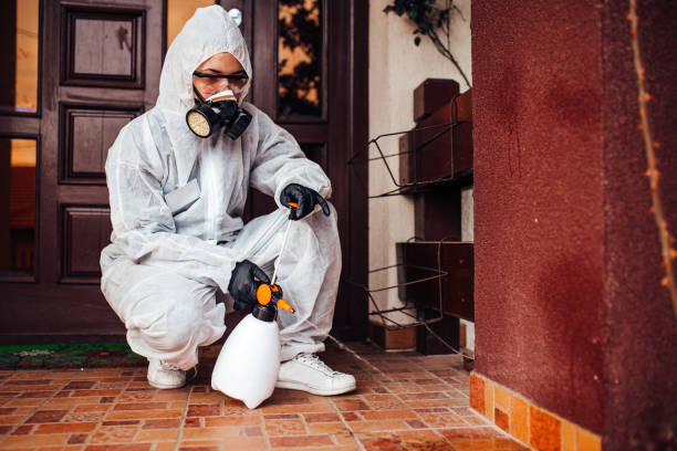 Reliable Wasp Removal contractor in Skidaway Island, GA by Show Me Pest Control